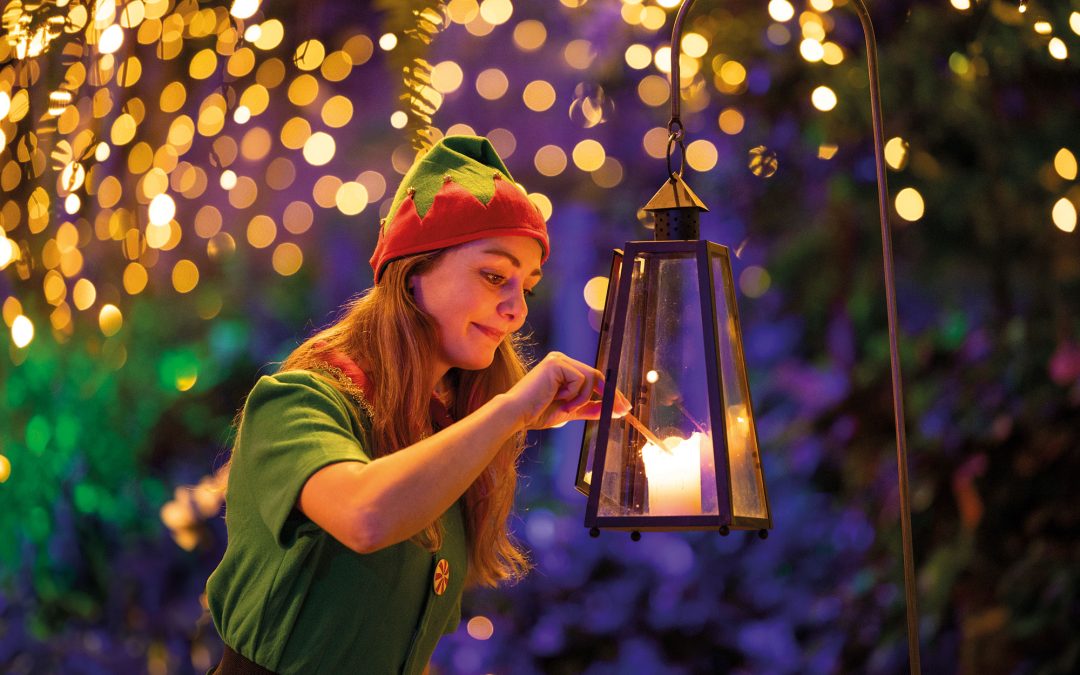 Duizenden twinkelende lichtjes tijdens jubileumeditie van WinterDroom in Pantropica